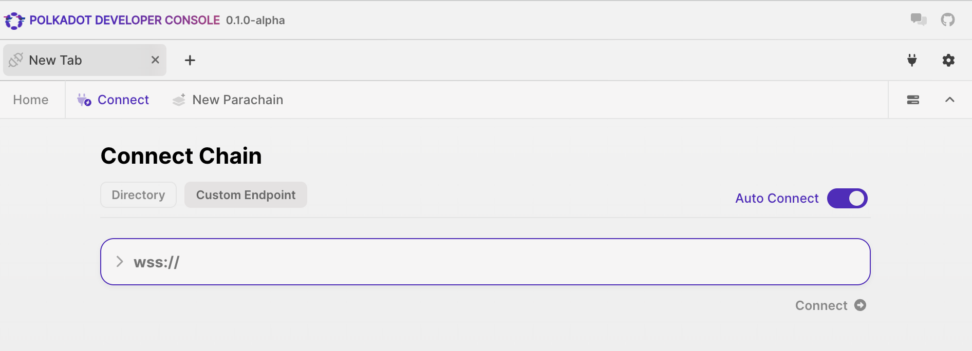 Custom Endpoints